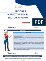 Actuaciones Inspectivas en El Sector Agrario