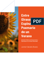 Junnior Calcaño Álvarez - Entre Girasoles y Espinas: Poemario de Un Verano