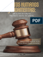 EBOOK - Direitos Humanos Fundamentais