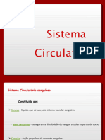 Sistema Circ Ula To Rio Powerpoint