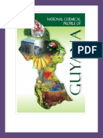 National Chemical Profile of Guyana 2010 (Final)