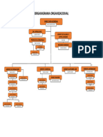 Organigrama Organizacional