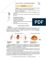 T.P. 5. Osteo-Artro-20 1