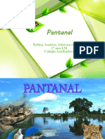 Geografia Pantanal 160510033005