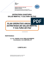 Plan Operativo Anual ESR SM y CP. 2013