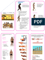 Triptico de La Hominizacion