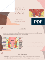 Fistula Anal