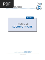 THEME 5a Locomotricité