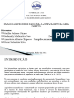 Apresentacao Trabalho de Agronegocios Actualizada