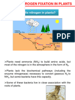 Why Fix Nitrogen in Plants?