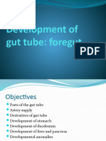 Development of Gut Tube Fore Gut