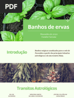 Banhos - Novembro de 2020