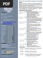 CV - Cristian Alejandro Vasquez Maguiña