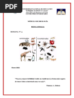 Semana 4 Biologia