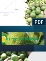 Limones Piuranosx