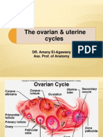 Ovarian and Uterine Cycle - My P