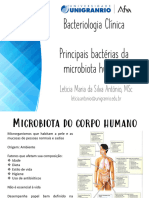 Aula 4 - Bacterias Da Microbiota Humana