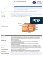 Understanding The Skin Pathology Report