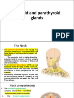 2 - Thyroid and Parathyroid