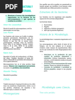 Taxonomía, Estructura y Fisiología Bacteriana