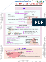 Infección de Vías Urinarias