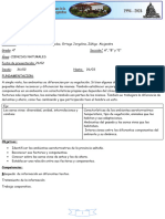 Propuesta Didáctica N1 Naturales 4to 2024