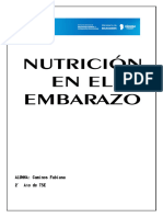 Trabajo Práctico Nutricion en El Embarazo