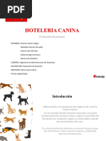 PDF Documento