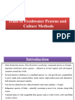 Freshwater Prawn Culture