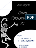 Polyran Anatomie S1