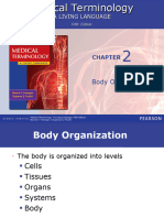 Body Organization