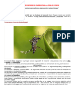 Asistencia y Repartición de Trabajo para La Feria de Ciencia 3d