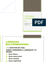 Liderazgo Multidimensional DIAPOSITIVA CLASE 1