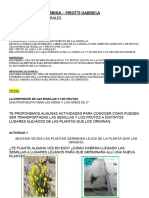 APROBADO2º LA DISPERSIÓN DE LAS SEMILLAS Y LOS FRUTOS Ok