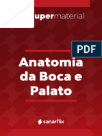 Boca e Palato