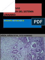 Tema 4 Diapositivas Histologia Ii