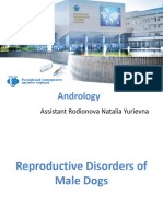 Reproductive Disorders of Male Dogs