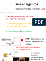 Processos Energeticos