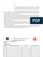 Formatos Planificacion - Docentes Investigadores