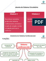 Aula 04 - Tema 03 - Sistema Circulat Rio