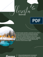 Floresta Boreal - 20240421 - 223143 - 0000