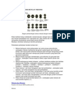 Perbedaan Mitosis Dengan Meiosis
