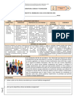 Prototipo Energizantes Naturales