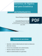 Determinantes (Clase 4)