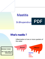 Mastitis Final