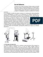 Sistema de Prueba de Esfuerzo