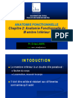 Chapitre 2 Anatomie Fonctionnelle Membre I-1