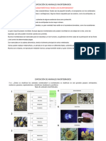 Exposición Qué Características Tienen Los Invertebrados