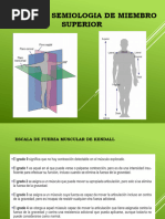 Anatomia y Semiologia Del Miembro Superior