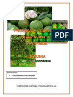 Programa Mipe Del Cultivo de Mandarina Okitsu